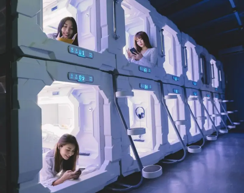 Mushroom Tent Interior