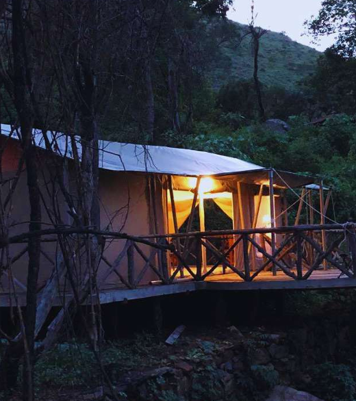 Modified African Safari